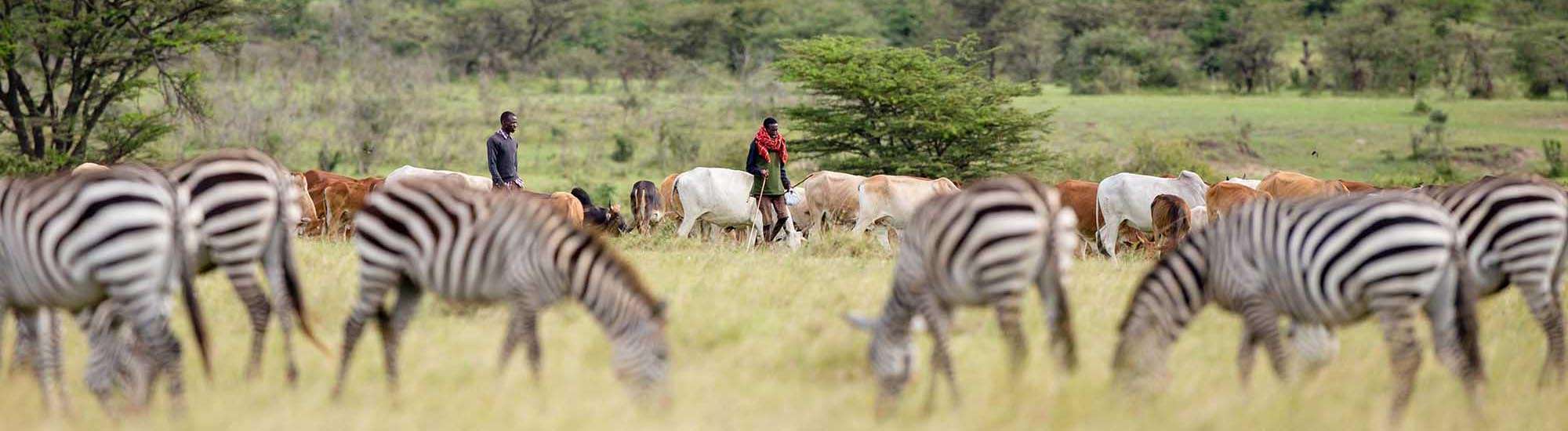 Securing Habitat