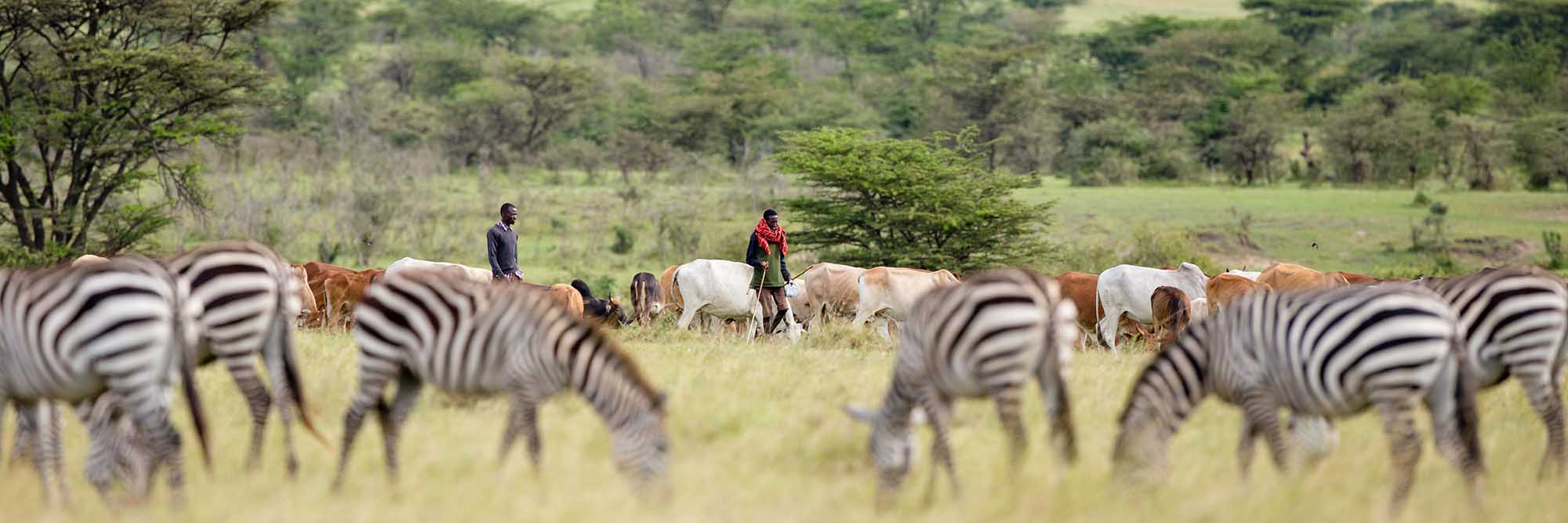 Securing Habitat