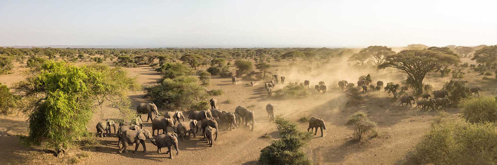 Securing Habitat