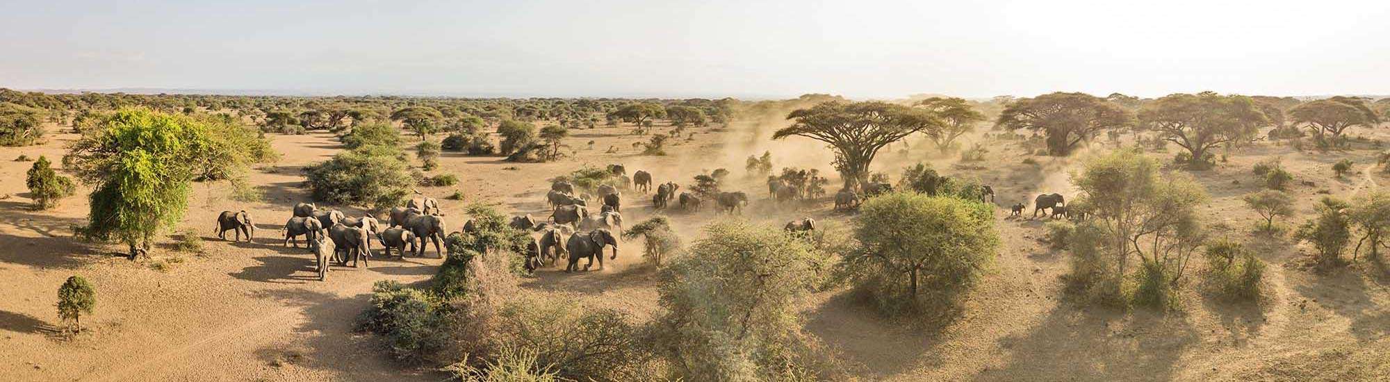 Securing Habitat