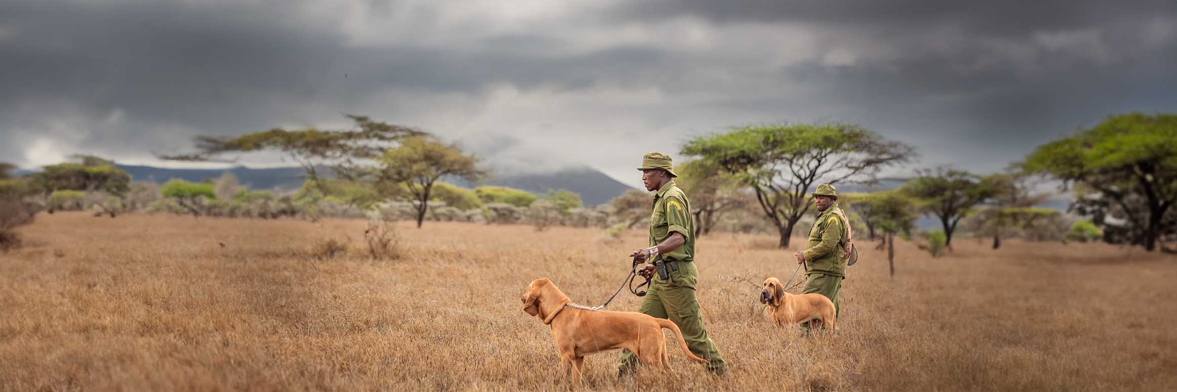 Tracker Dogs