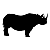 rhinos