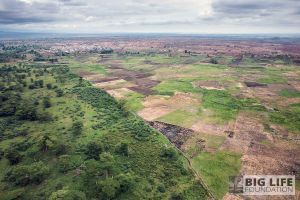 blf gallery no buffer farmland and wildlands in amboseli