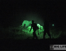 blf gallery rangers chasing elephants from farmland area