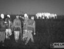 blf gallery thermal image