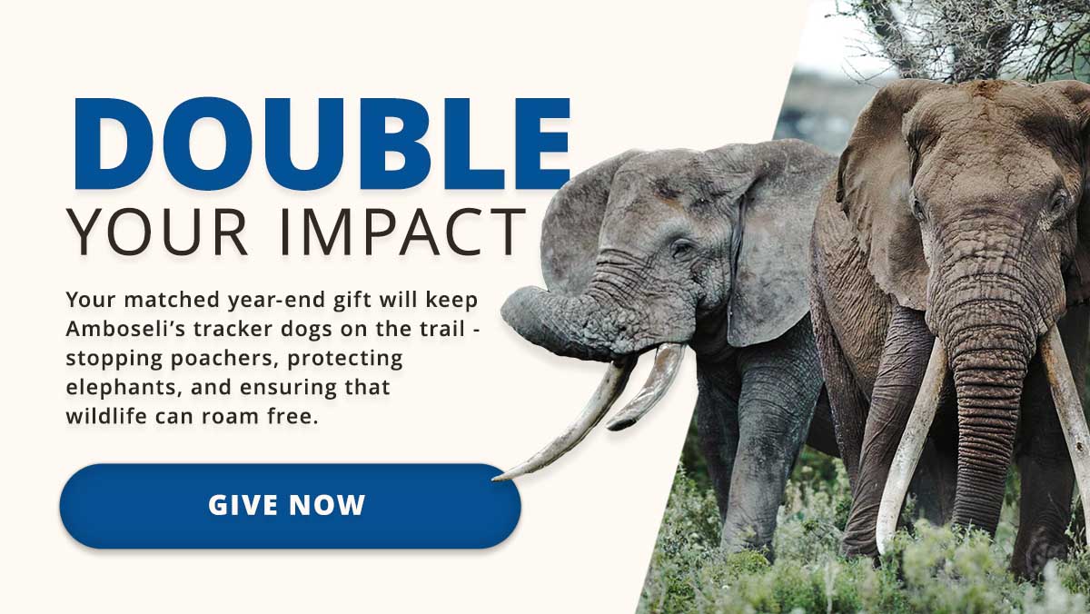 End of Year 2025 Donation Appeal