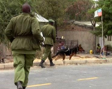 130226 1 1 Big Life Tanzanias Dog Unit Saves Elephants