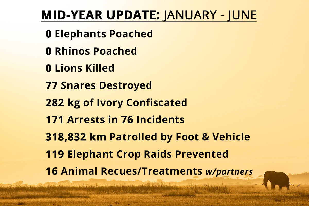 2022 mid year stats jan june web