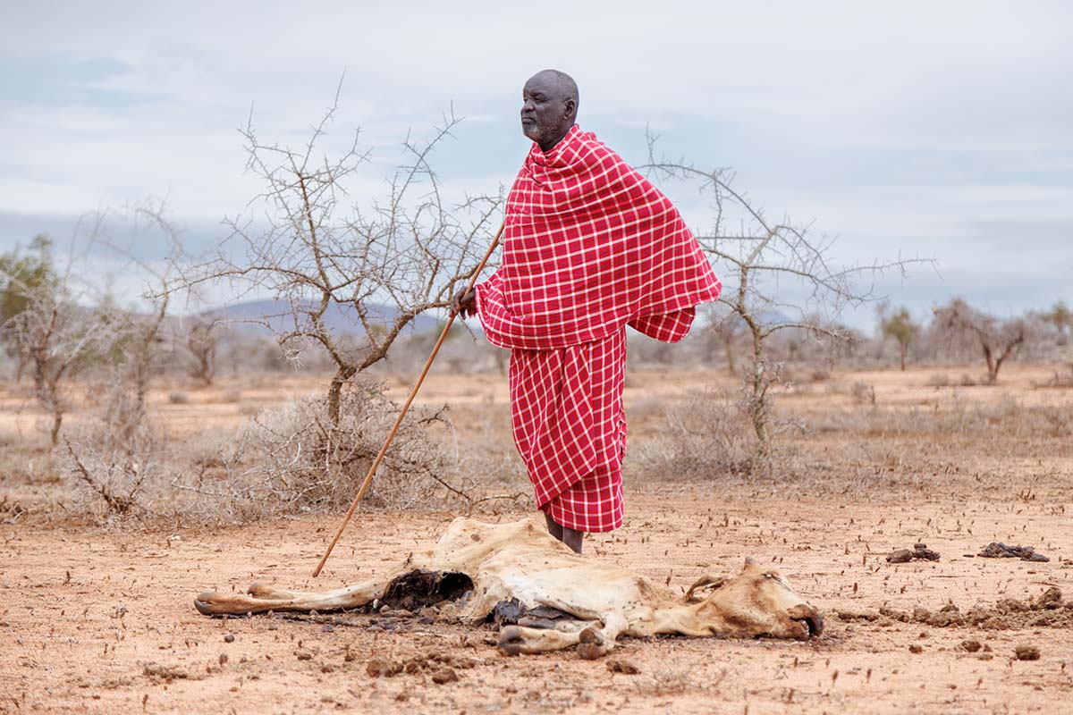 230123 maasai herder and livestock dead