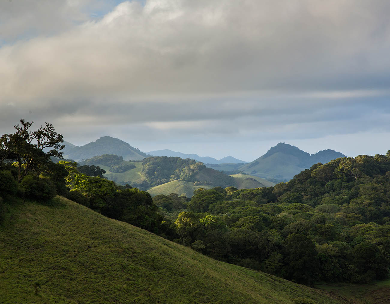 210324 Big life foundation chyulu hills redd project