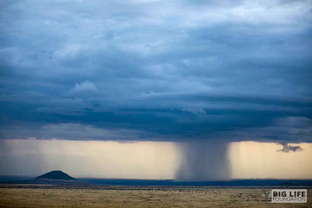 The Rains Down in Africa