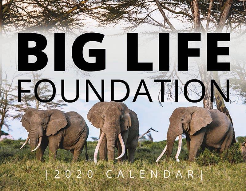 191114 Big Life Calendar Cover image