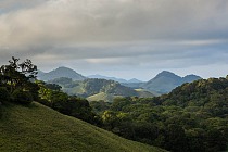 210324 Big life foundation chyulu hills redd project