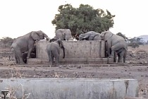 150122 1 1 The Liquid Gold of Amboseli