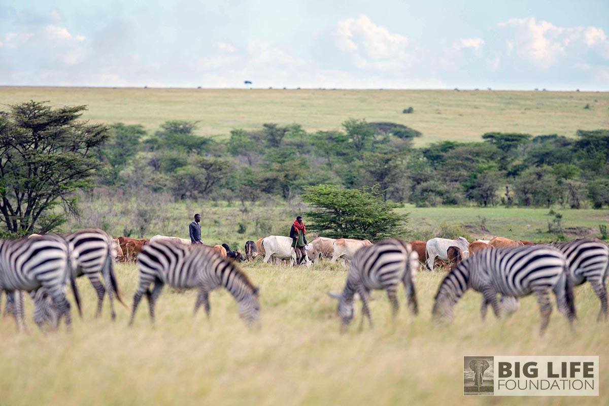 Rangelands Management