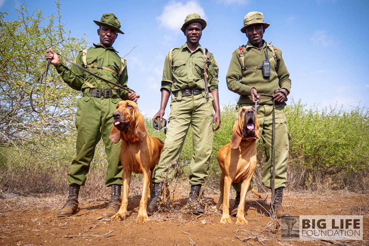 Tracker Dog Unit